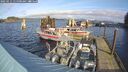 ./images/quadra/hbidock/20250111/hbidock20250111_115500M.jpg