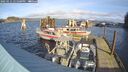 ./images/quadra/hbidock/20250111/hbidock20250111_121500M.jpg