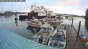 ./images/quadra/hbidock/20250112/hbidock20250112_084500M.jpg