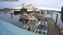 ./images/quadra/hbidock/20250112/hbidock20250112_111000M.jpg