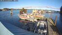 ./images/quadra/hbidock/20250112/hbidock20250112_142009M.jpg