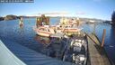 ./images/quadra/hbidock/20250112/hbidock20250112_143506M.jpg