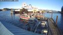 ./images/quadra/hbidock/20250112/hbidock20250112_145508M.jpg