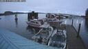 ./images/quadra/hbidock/20250113/hbidock20250113_075500M.jpg