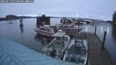 ./images/quadra/hbidock/20250113/hbidock20250113_075507M.jpg