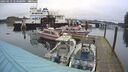 ./images/quadra/hbidock/20250113/hbidock20250113_123508M.jpg