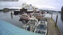 ./images/quadra/hbidock/20250113/hbidock20250113_145000M.jpg