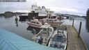 ./images/quadra/hbidock/20250113/hbidock20250113_145009M.jpg