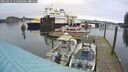 ./images/quadra/hbidock/20250114/hbidock20250114_111000M.jpg
