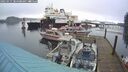 ./images/quadra/hbidock/20250115/hbidock20250115_084509M.jpg