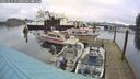 ./images/quadra/hbidock/20250115/hbidock20250115_111009M.jpg