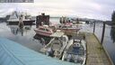 ./images/quadra/hbidock/20250115/hbidock20250115_131509M.jpg