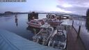 ./images/quadra/hbidock/20250116/hbidock20250116_074507M.jpg