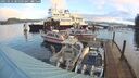 ./images/quadra/hbidock/20250116/hbidock20250116_085009M.jpg