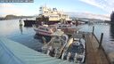 ./images/quadra/hbidock/20250116/hbidock20250116_085509M.jpg