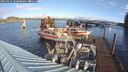 ./images/quadra/hbidock/20250116/hbidock20250116_100500M.jpg