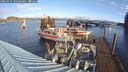 ./images/quadra/hbidock/20250116/hbidock20250116_100508M.jpg