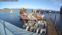 ./images/quadra/hbidock/20250116/hbidock20250116_105008M.jpg