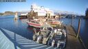 ./images/quadra/hbidock/20250116/hbidock20250116_113508M.jpg