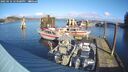 ./images/quadra/hbidock/20250116/hbidock20250116_123508M.jpg