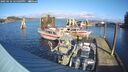 ./images/quadra/hbidock/20250116/hbidock20250116_125009M.jpg