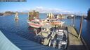 ./images/quadra/hbidock/20250116/hbidock20250116_125509M.jpg
