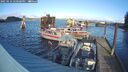 ./images/quadra/hbidock/20250116/hbidock20250116_140500M.jpg