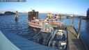 ./images/quadra/hbidock/20250116/hbidock20250116_140508M.jpg