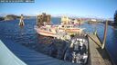./images/quadra/hbidock/20250116/hbidock20250116_142509M.jpg