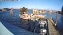 ./images/quadra/hbidock/20250116/hbidock20250116_144009M.jpg
