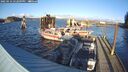 ./images/quadra/hbidock/20250116/hbidock20250116_152009M.jpg