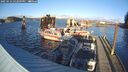 ./images/quadra/hbidock/20250116/hbidock20250116_152509M.jpg