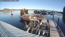 ./images/quadra/hbidock/20250117/hbidock20250117_095508M.jpg