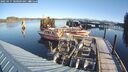 ./images/quadra/hbidock/20250117/hbidock20250117_100009M.jpg