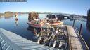 ./images/quadra/hbidock/20250117/hbidock20250117_100506M.jpg