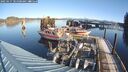 ./images/quadra/hbidock/20250117/hbidock20250117_101500M.jpg