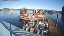 ./images/quadra/hbidock/20250117/hbidock20250117_113509M.jpg