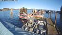 ./images/quadra/hbidock/20250117/hbidock20250117_120009M.jpg