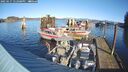 ./images/quadra/hbidock/20250117/hbidock20250117_122008M.jpg