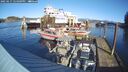 ./images/quadra/hbidock/20250117/hbidock20250117_124009M.jpg