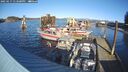 ./images/quadra/hbidock/20250117/hbidock20250117_133500M.jpg