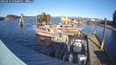 ./images/quadra/hbidock/20250117/hbidock20250117_140500M.jpg