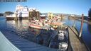 ./images/quadra/hbidock/20250117/hbidock20250117_144500M.jpg