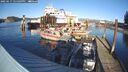 ./images/quadra/hbidock/20250117/hbidock20250117_145009M.jpg