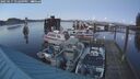./images/quadra/hbidock/20250117/hbidock20250117_172009M.jpg