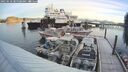 ./images/quadra/hbidock/20250118/hbidock20250118_085509M.jpg