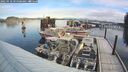 ./images/quadra/hbidock/20250118/hbidock20250118_095508M.jpg