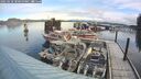 ./images/quadra/hbidock/20250118/hbidock20250118_100500M.jpg