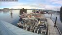 ./images/quadra/hbidock/20250118/hbidock20250118_100508M.jpg