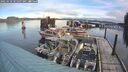 ./images/quadra/hbidock/20250118/hbidock20250118_101507M.jpg